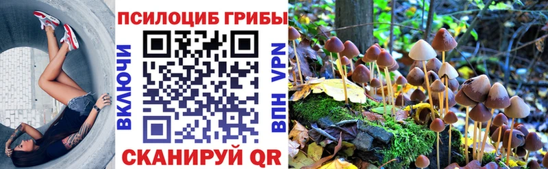 Псилоцибиновые грибы мухоморы  Елизово 